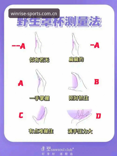 盈嘉体育平台新手完全上手指南：从登录入口到深度使用技巧